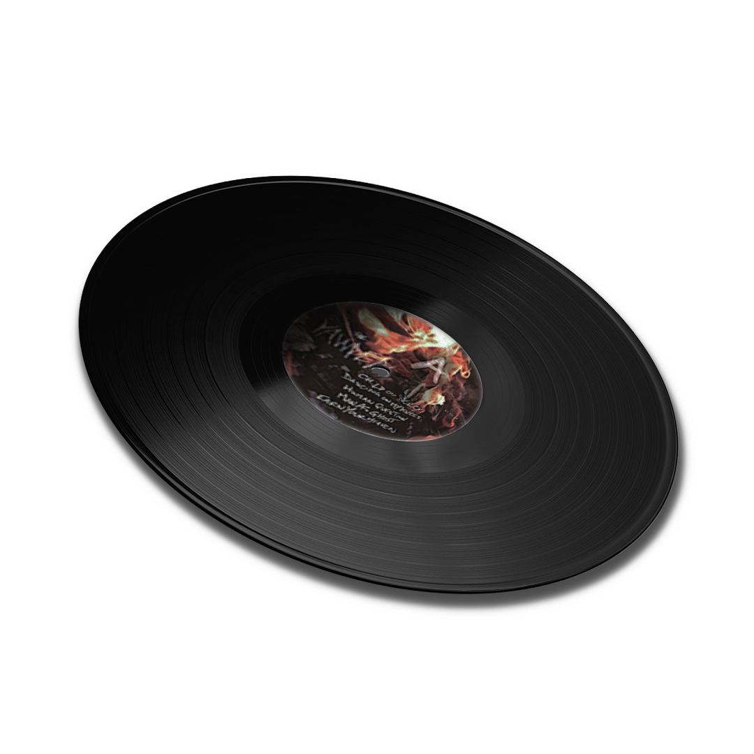 LP image